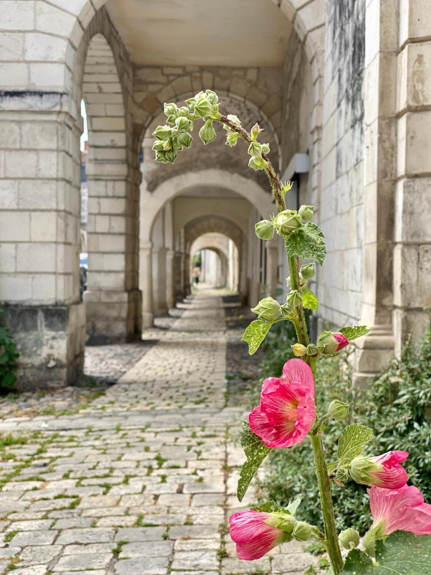 佩里尼Les Pertuis Rochelais住宿加早餐旅馆 外观 照片